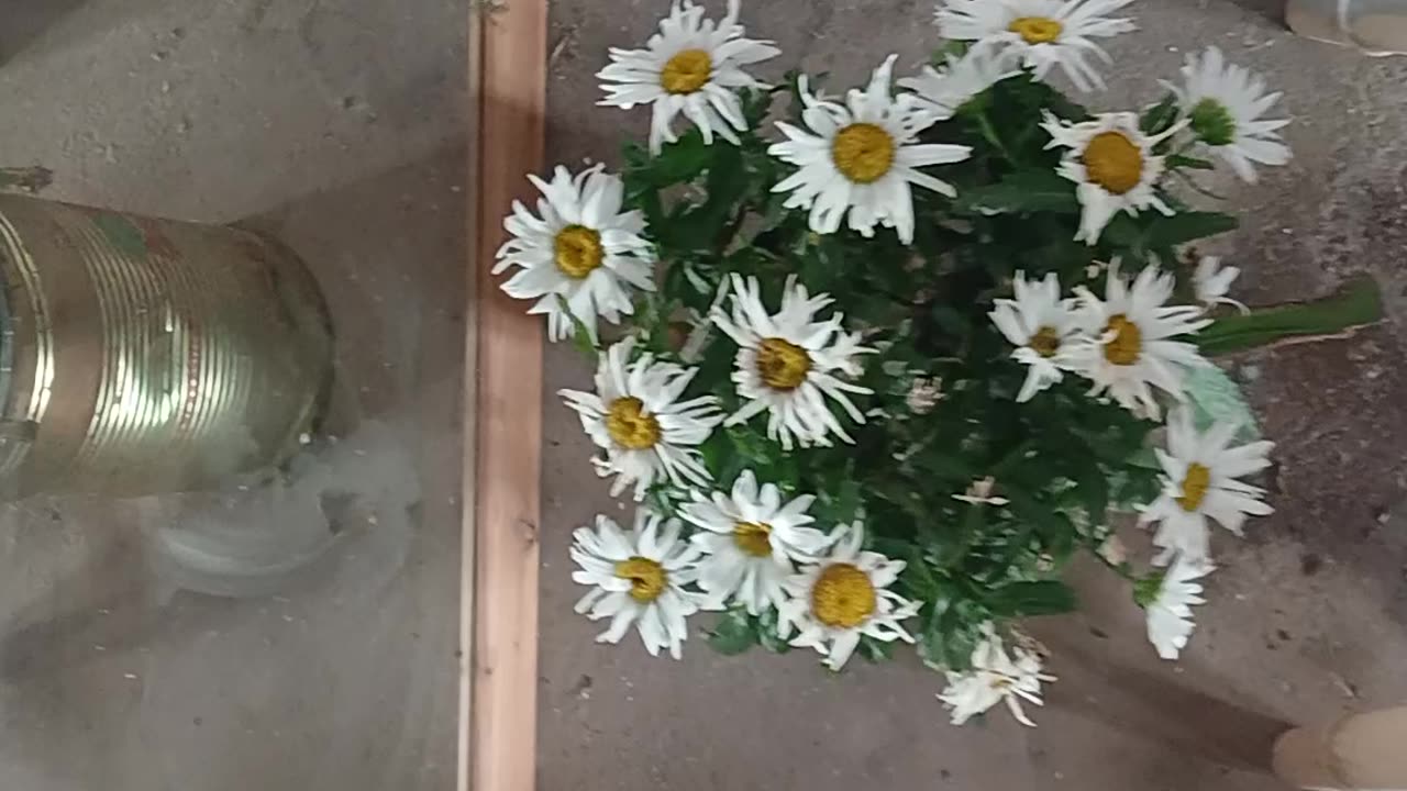 B4 and after - Our time travel chair. Sale price 10k