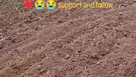 Kishan ke khet me lagi aag