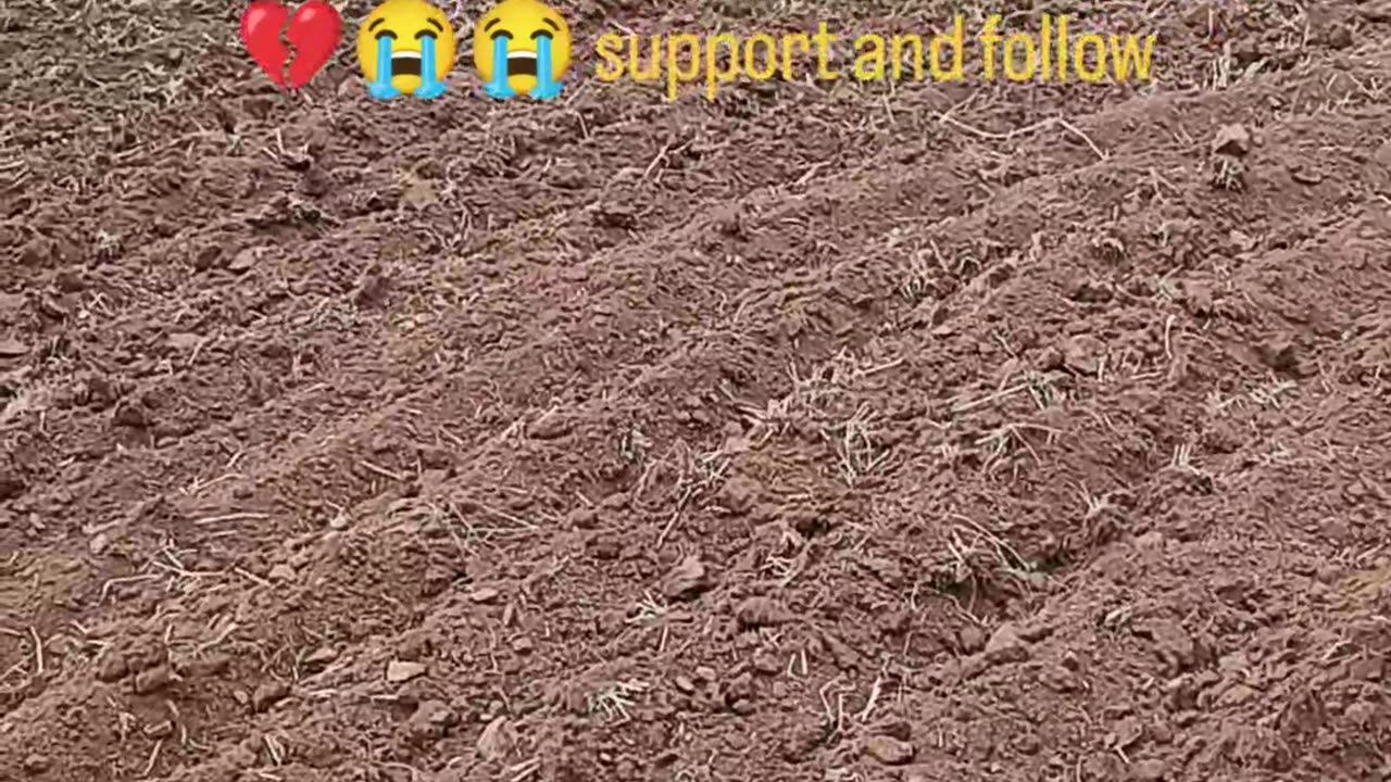 Kishan ke khet me lagi aag