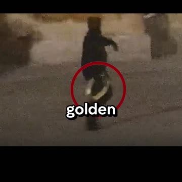 The £4.8M GOLD Toilet Heist – Crime Doesn’t Pay?