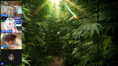 420 and You
