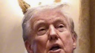 The Secret Covenant 95’