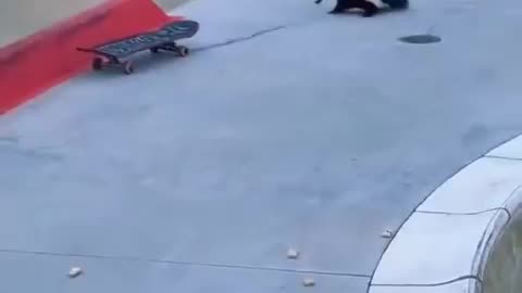 No gratitude for helping rescue