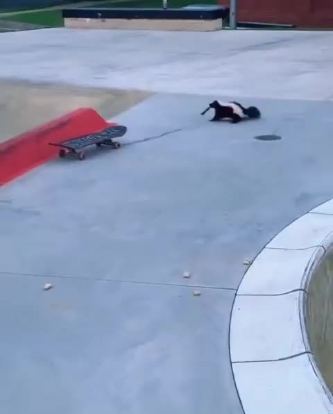 No gratitude for helping rescue