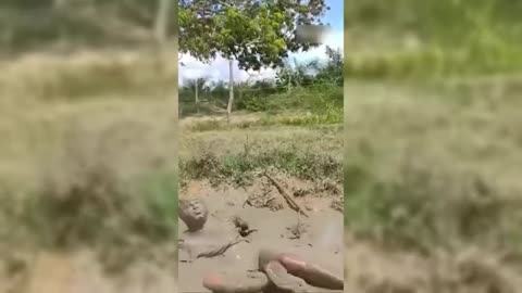 Try not to Laugh !!
