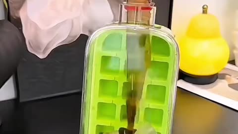 "🥶 Ice Cube Bottle | $2.40 Deal"