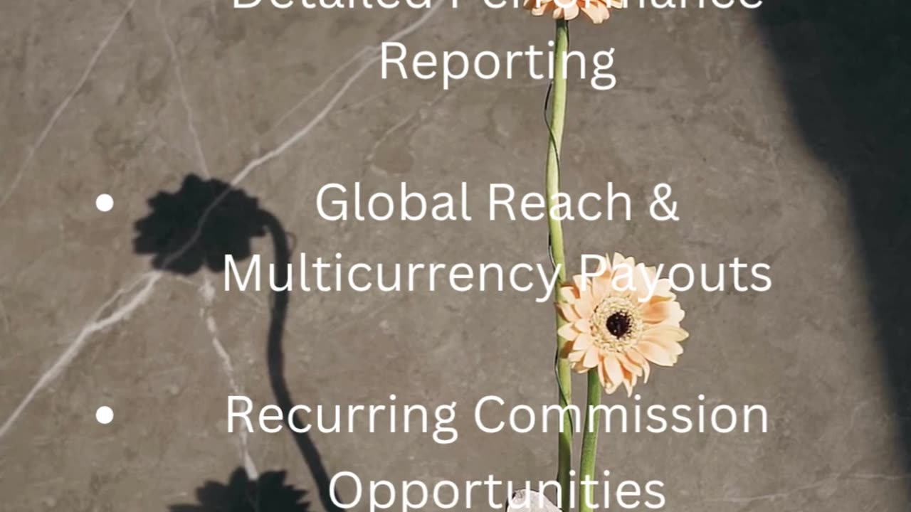 Impact Affiliate Program Review (2025)