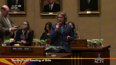 Wendy Rogers Explains NO Vote to Constitutional Convention (HCR 2041)