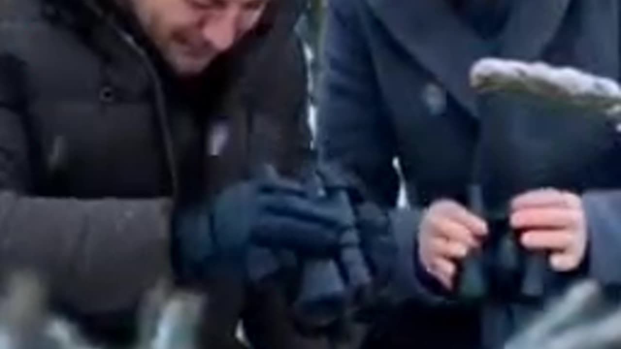 AI comedy Alaska