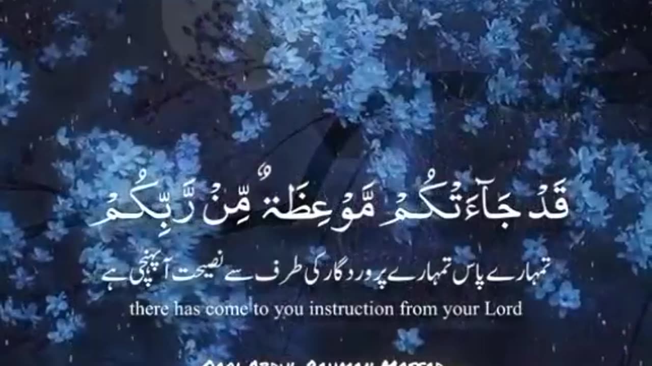 Beshak 💯♥️✨🕊️