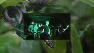 W. A. T. G. ~ The Bird and the Snake { Live + Lyrics + Covers } Remix 1 Christcore PC FX