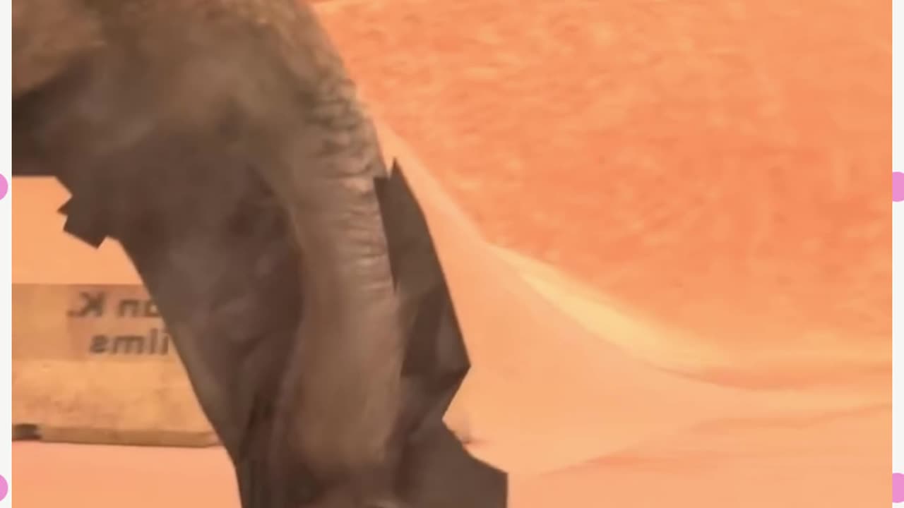 La JOROBA DEL CAMELLO