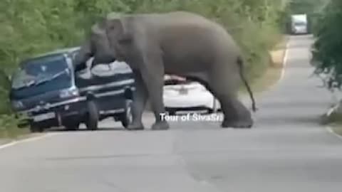Attack