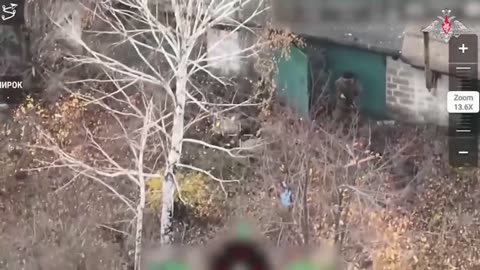 A Surprise for the Pig from the Mirnohrad Cauldro