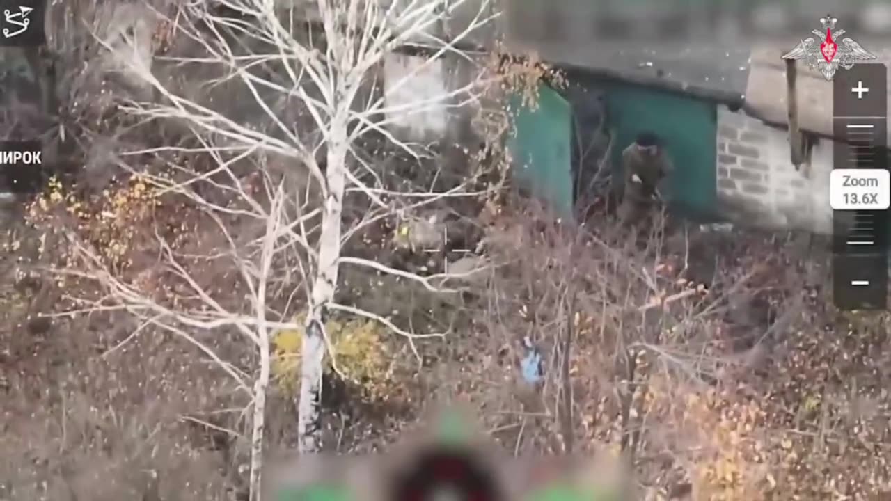 A Surprise for the Pig from the Mirnohrad Cauldro