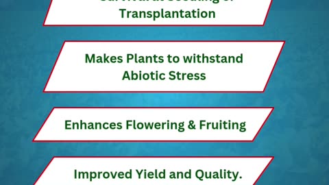 Nurture Your Fields with Crop Protection Solutions