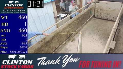 8/23/2025 - Cattle Auction - Clinton Stockyards