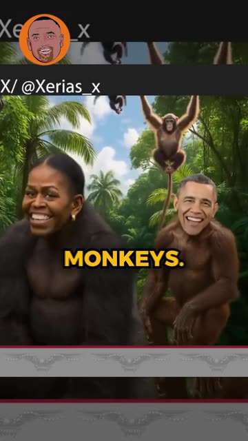 "It's just a PICTURE" - JLP Reacts to Trump's "Racist" Obama Post