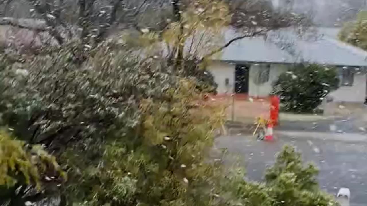 Snowing in Armidale New south Wales Australia - Michael Cherry