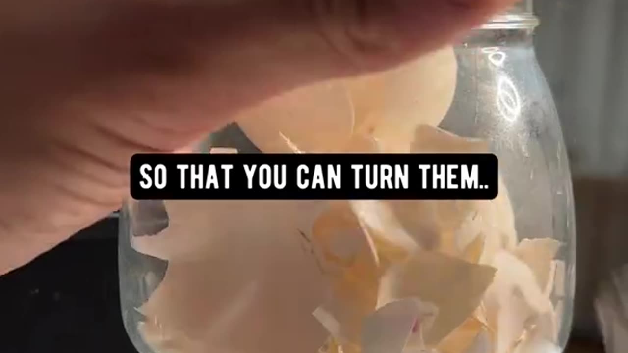 SIMPLIFY LIFE KITCHEN HACKS