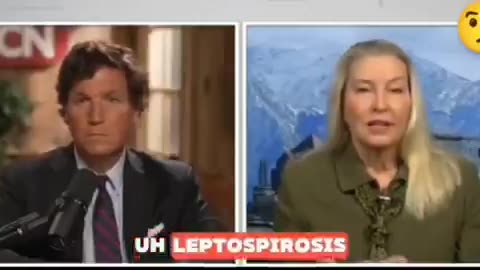 U.S. Military funded research to weaponize ticks with deadly pathogens since the Cold War Era.