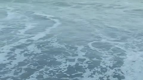 Breezy Bites: A Culinary Escape by the Shore"