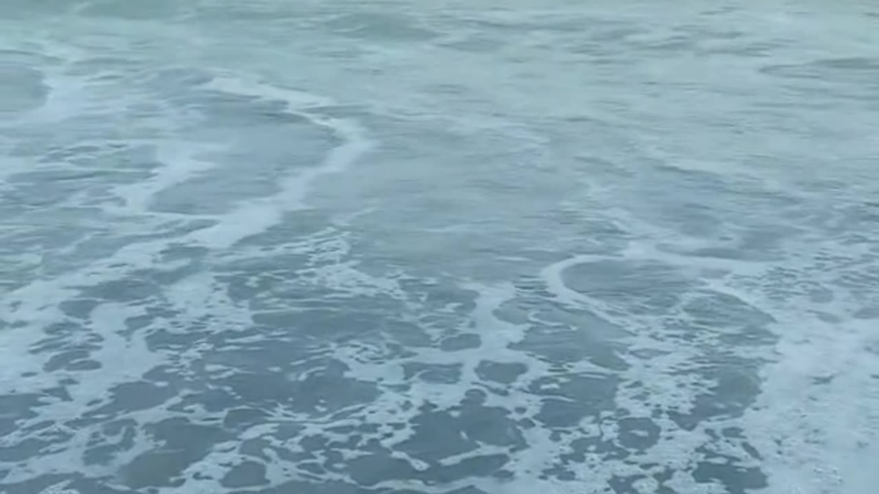 Breezy Bites: A Culinary Escape by the Shore"