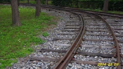 14_0309 板橋查某(Org)