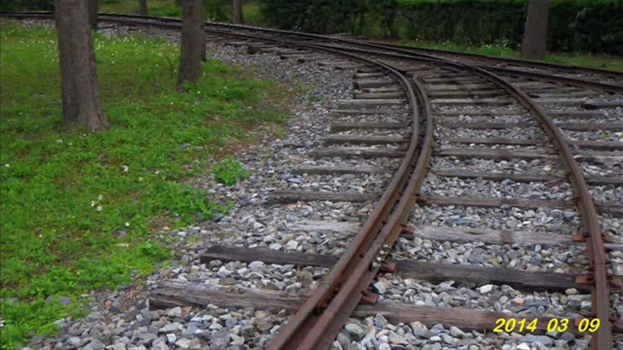 14_0309 板橋查某(Org)