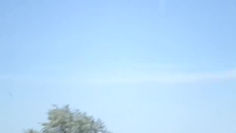 Those GIANT PINWHEELS AGAIN!!!!!