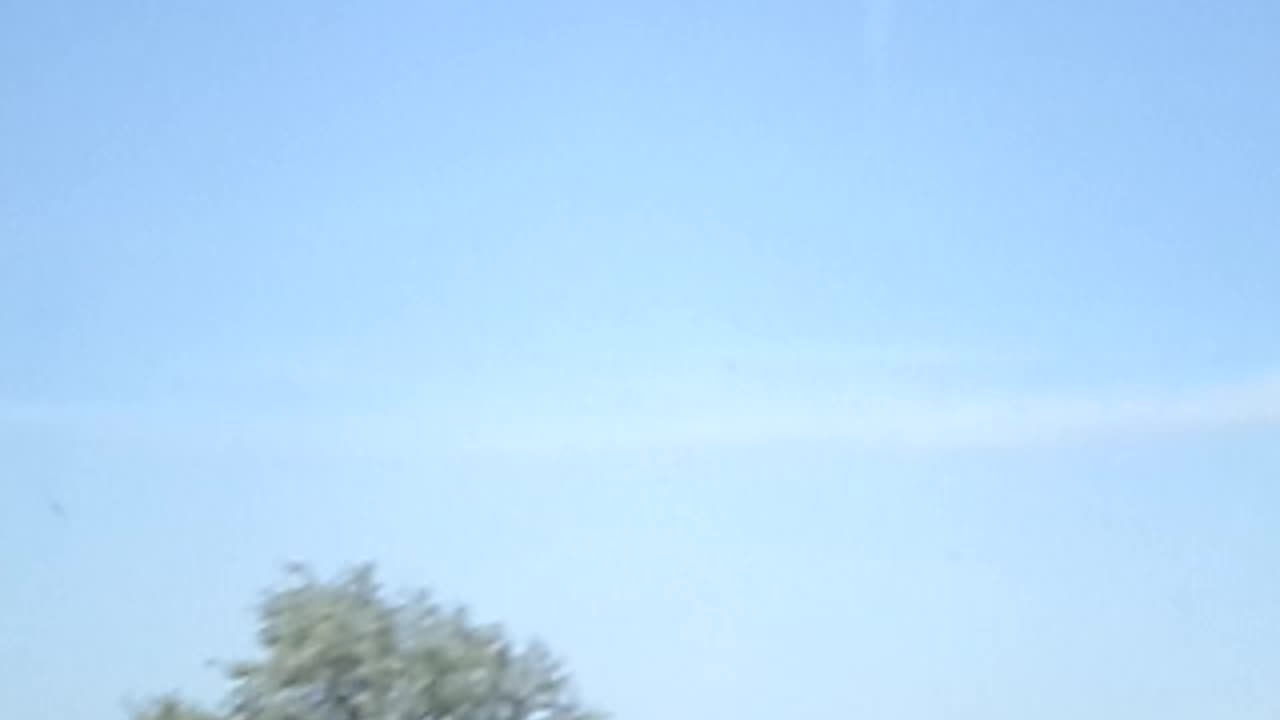 Those GIANT PINWHEELS AGAIN!!!!!