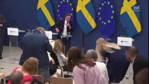 Jab? Swedish Health Minister Elisabet Lann suddenly collapsed during press conference