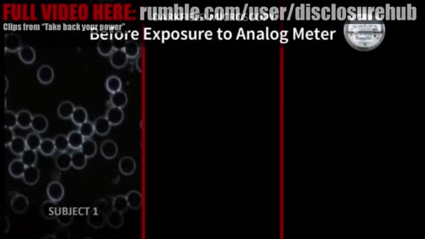 This Is Why We Are Sick – Must See Truth