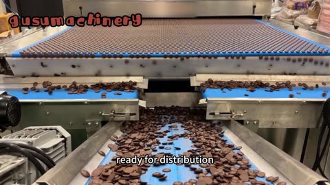 Why Are Brands Turning to Gusu’s Chocolate Chips Machine?