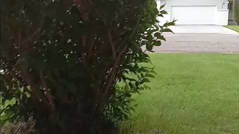 5/20, 2025 11:57 AM Storm creeped up