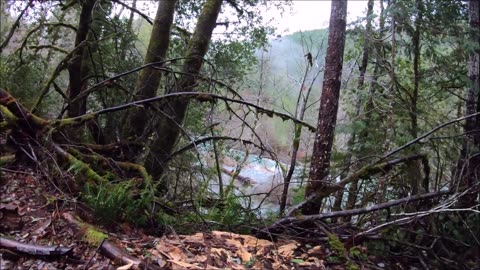 Big Foot search up Siskiyou Forks in Del Norte County Ca