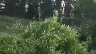 🚁⚔️ Ukraine Russia War | Russian Ka-52 Helicopter Intercepts Ukrainian Drone in Russian Terri… | RCF