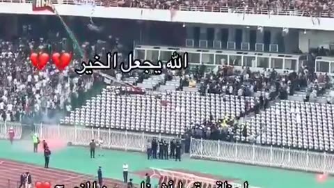 Algeria fans