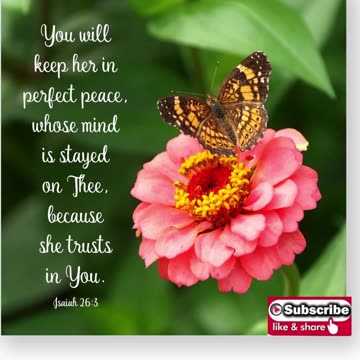 Prayer of Perfect Peace #youtubeshorts #grace #jesus #mercy #faith #fyp #trust #blessed #peace #love