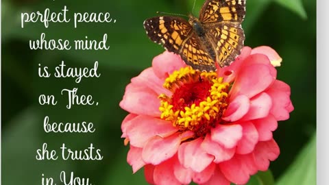 Prayer of Perfect Peace #youtubeshorts #grace #jesus #mercy #faith #fyp #trust #blessed #peace #love