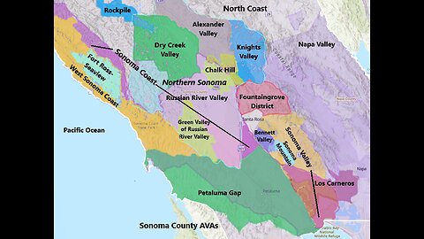 Terra Swarm, Fog of War (UN Agenda 2030)