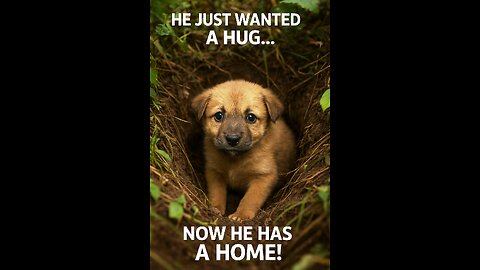 He just wanted a hug... now he has a home! 🐶💖