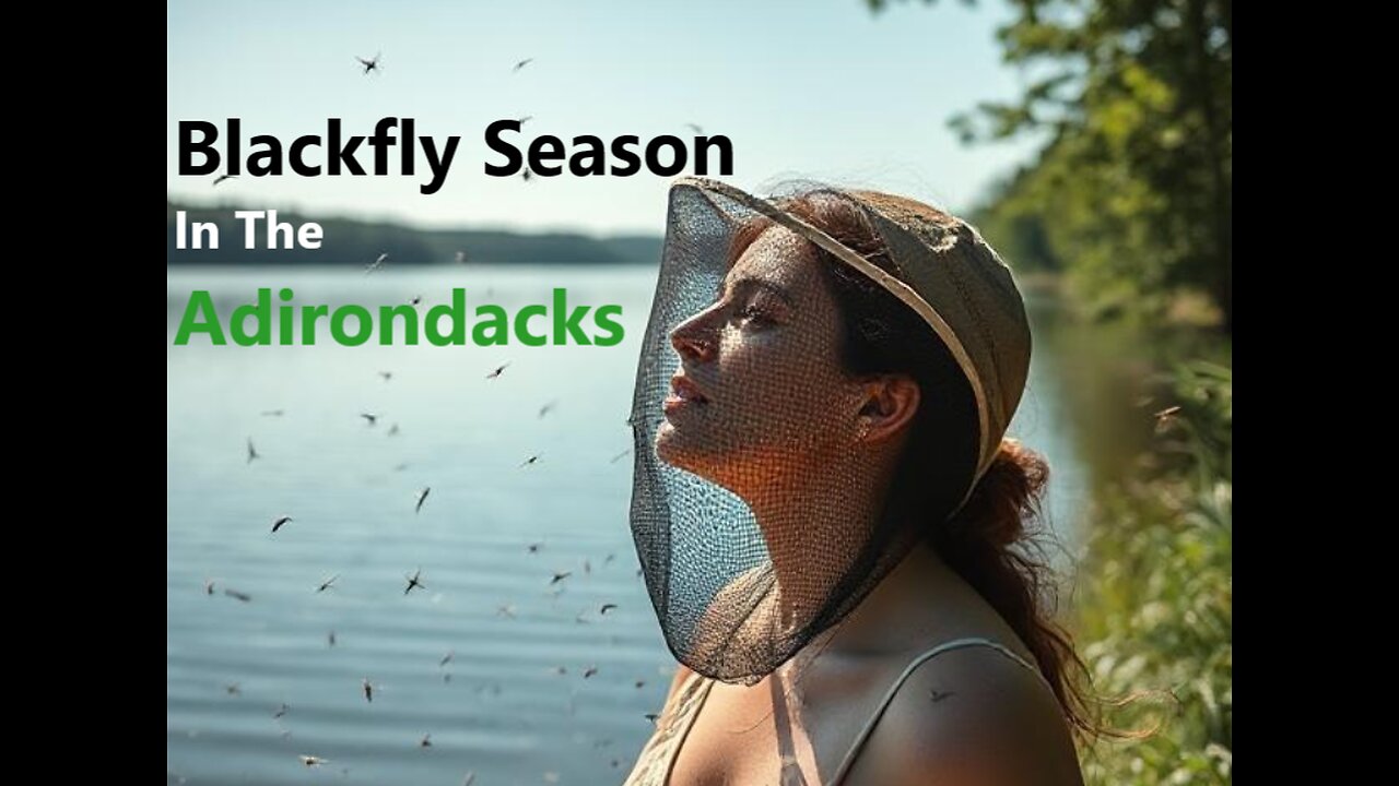 Adirondack Blackfly Season (song version 2)