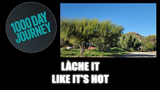 1000 Day Journey 0909 Làche it like it's Hot