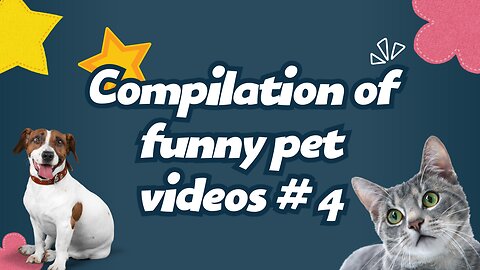 The Compilation of funny pet videos #4