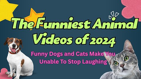 The Funniest Animal Videos of 2024 Funny Dogs and Cats Make You Unable To Stop Laughing