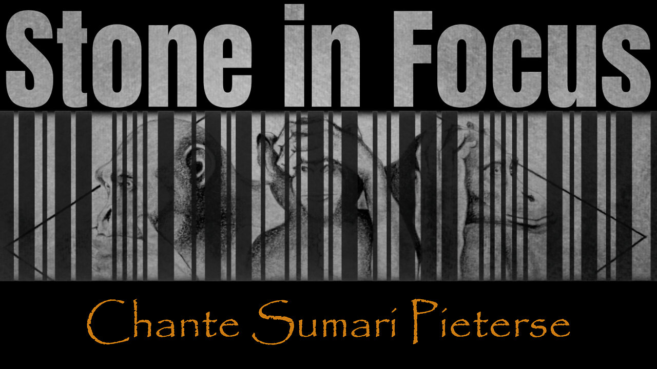 Chante Sumari Pieterse l Stone In Focus S1E11 l Books & Things