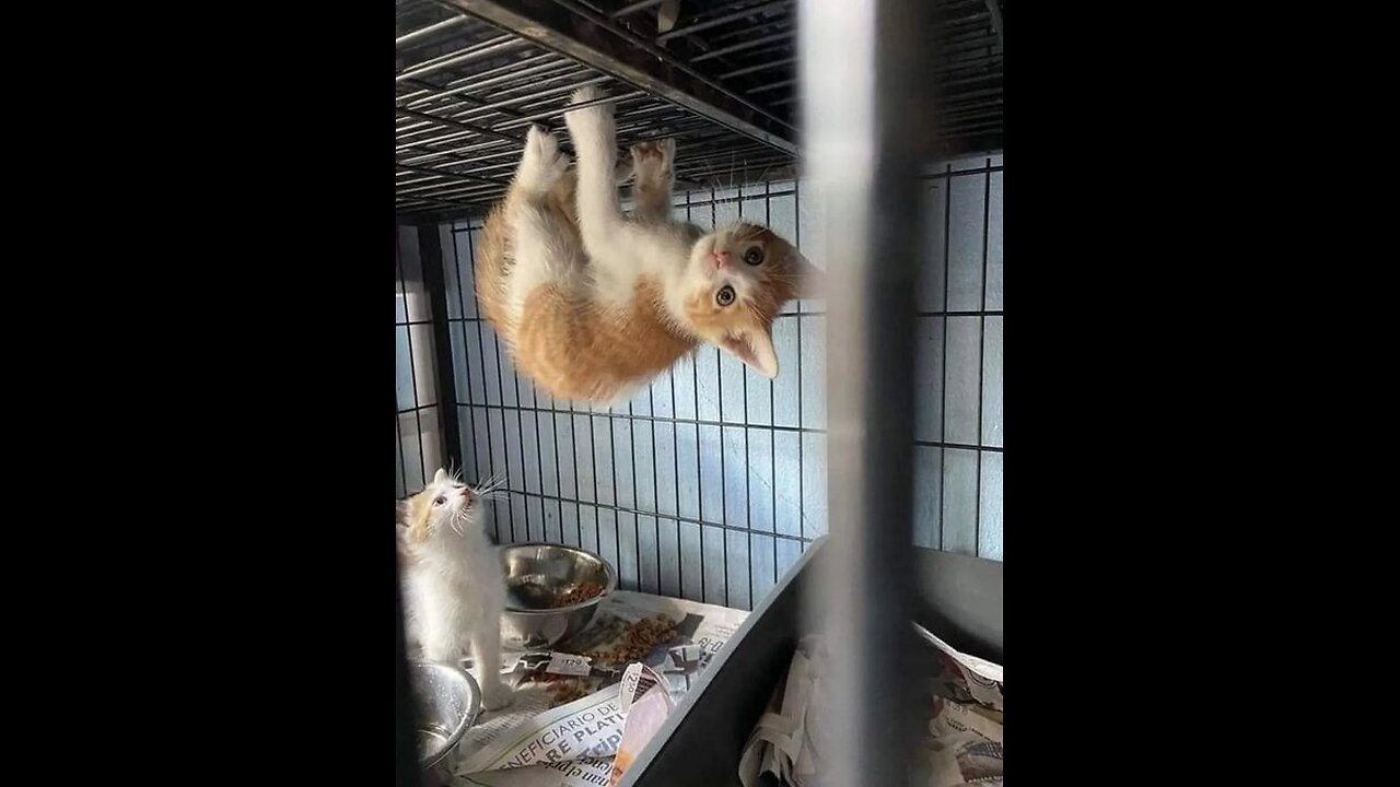 ARE US MARKETS ABOUT TO BLOW? RUN FOR YOUR SAFETY