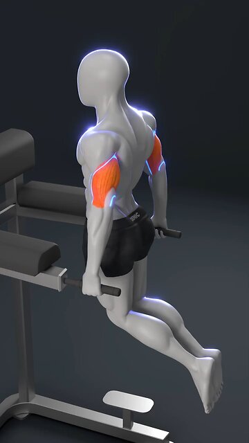 Stop Doing Dips Wrong! 💪 Master Proper Form for Big Gains