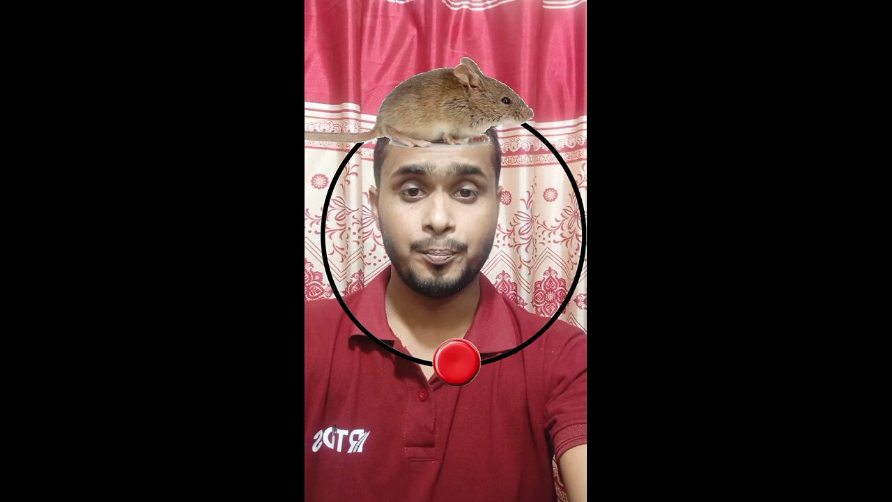 ইঁদুরটি জোড়া লাগান ৩৭ #reels #puzzle #challenge #viral #tending #foryou #Amazing